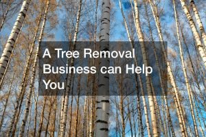 tree removal business
