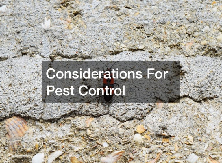 Considerations For Pest Control Remodeling Magazine