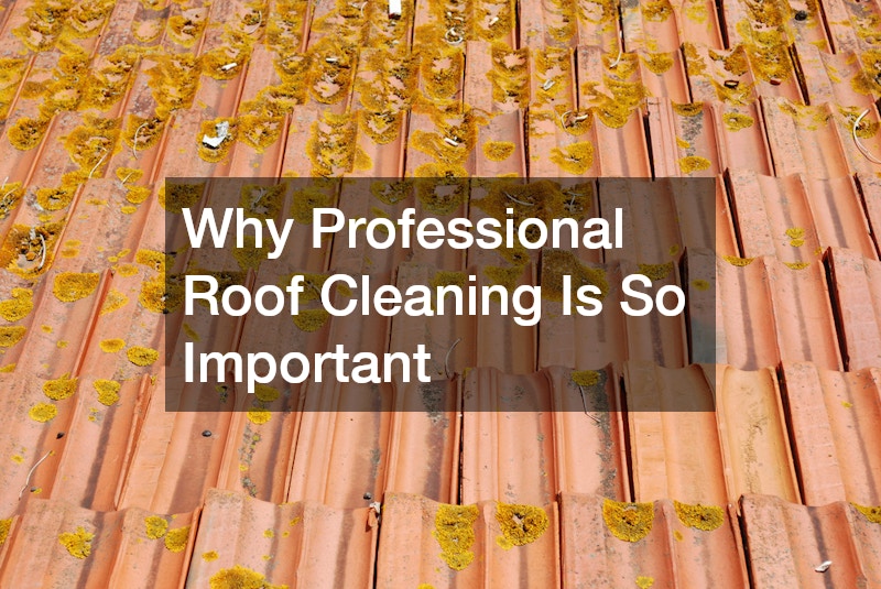 Why Professional Roof Cleaning Is So Important