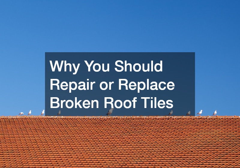 Why You Should Repair or Replace Broken Roof Tiles