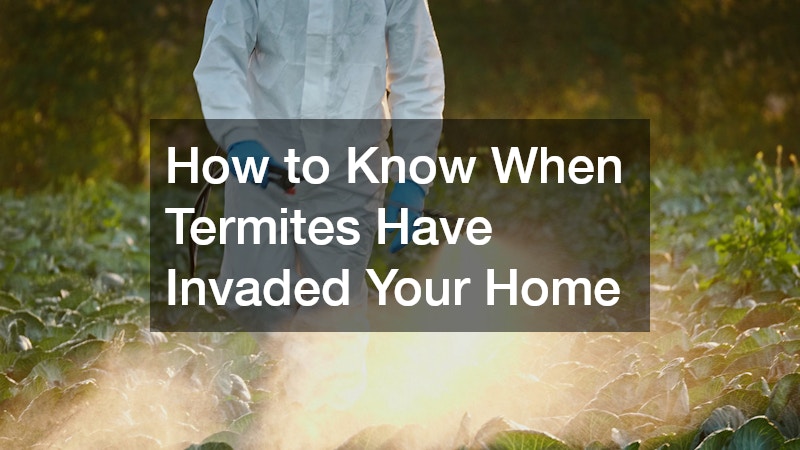 How to Know When Termites Have Invaded Your Home